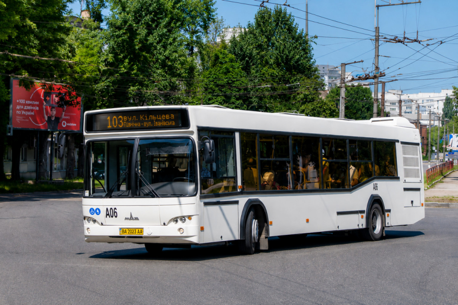 Автобус 103 Кропивницький