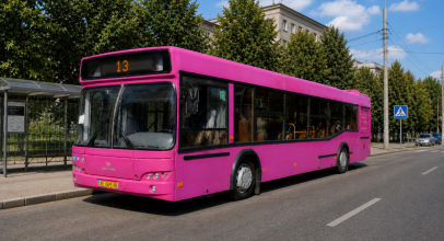 Автобус 13 Кременчук