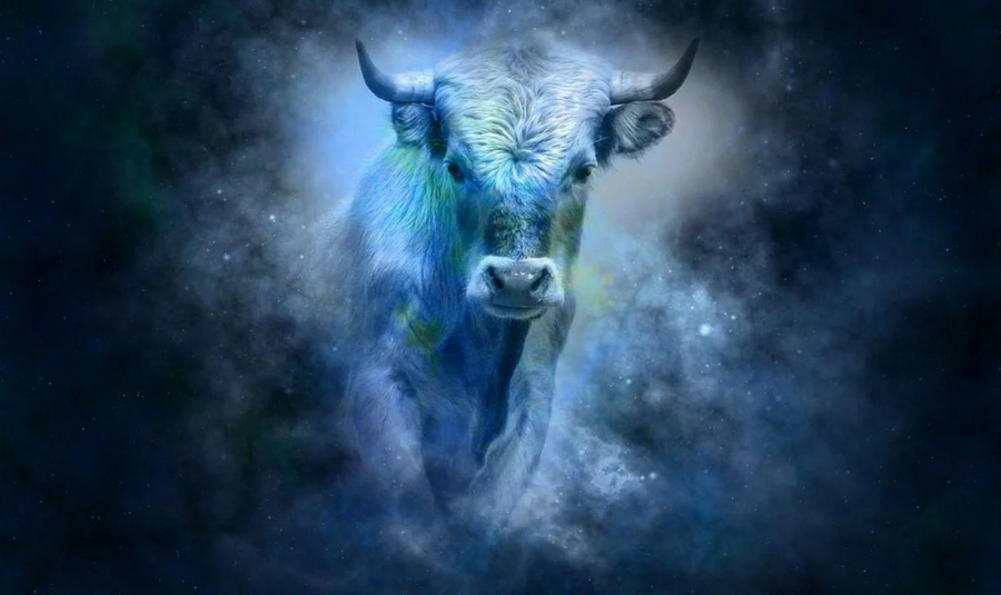 К чему снится бык