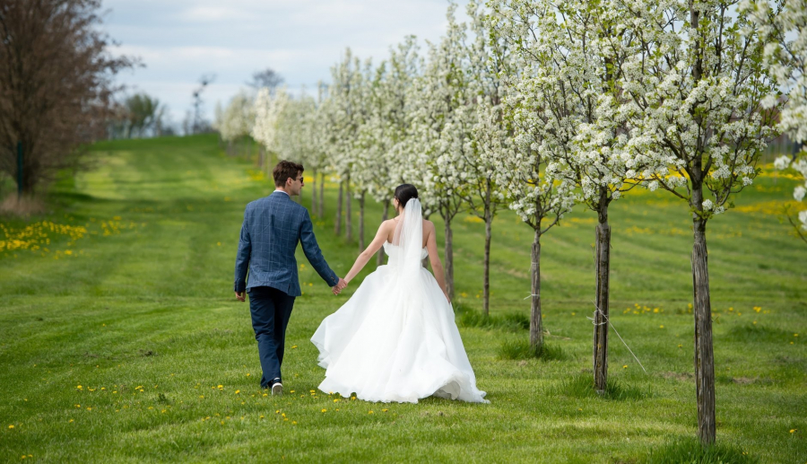 К чему снится чужая свадьба