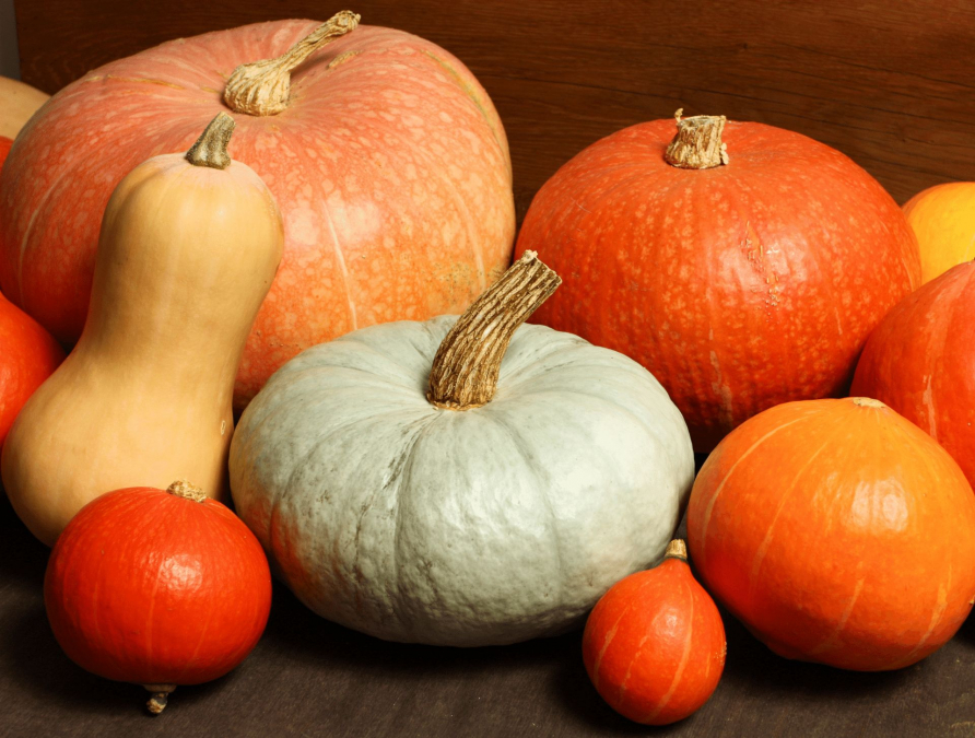 Гарбуз калорійність