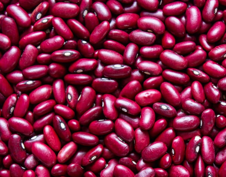 Квасоля калорійність