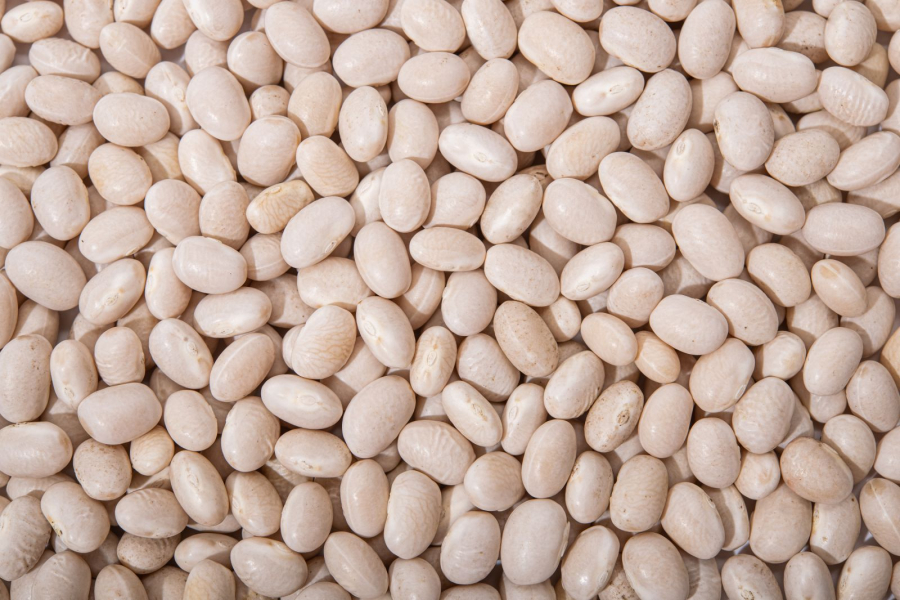 Квасоля біла калорійність