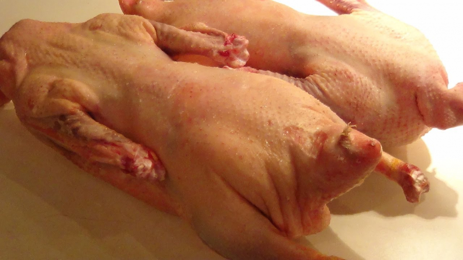 М’ясо гусяче калорійність