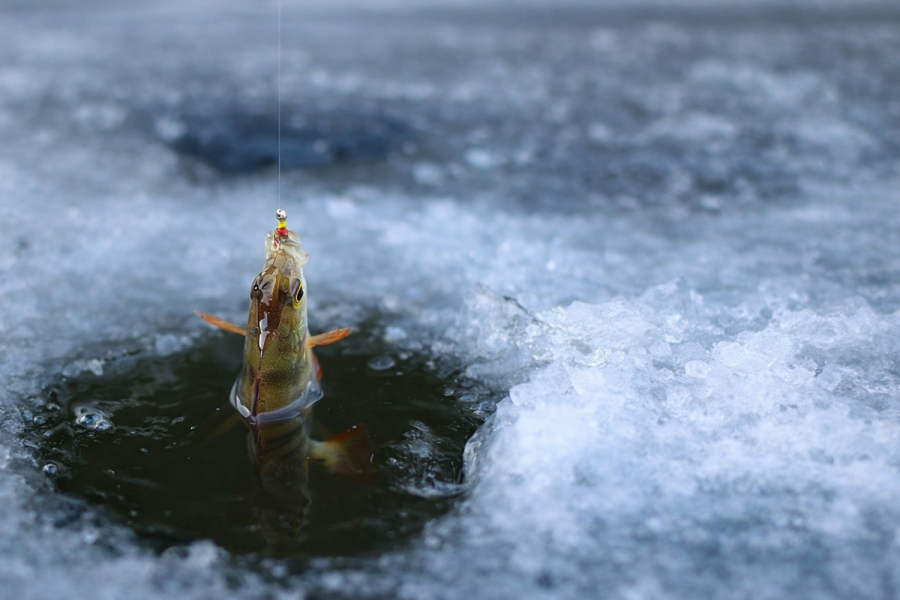 Не получается заметить деликатные поклевки рыбы в холодное время года? Решение есть!