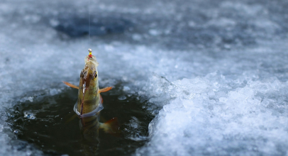 Не получается заметить деликатные поклевки рыбы в холодное время года? Решение есть!