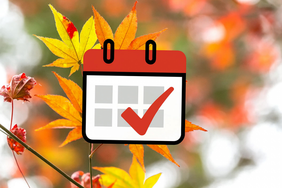 Сколько осталось до осени