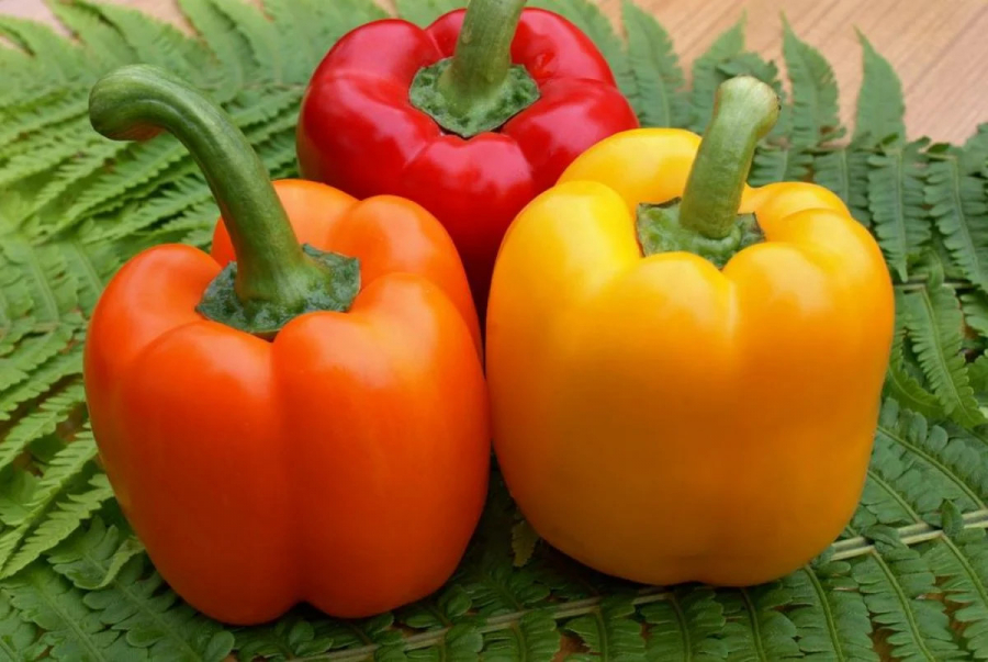 Перець червоний солодкий калорійність