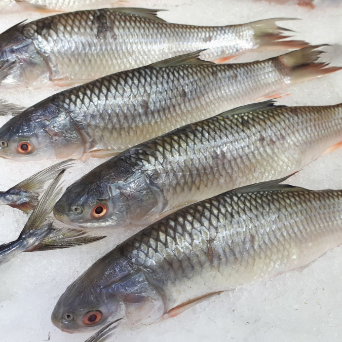 Риба морська калорійність