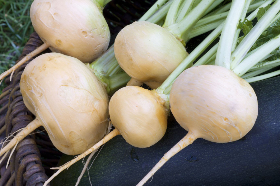 Ріпа калорійність