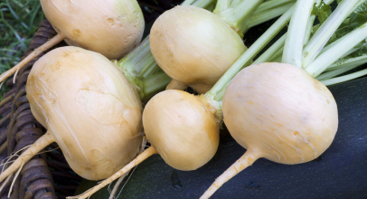 Ріпа калорійність