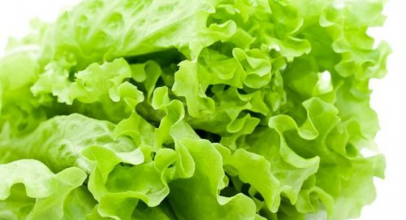 Салат латук калорійність