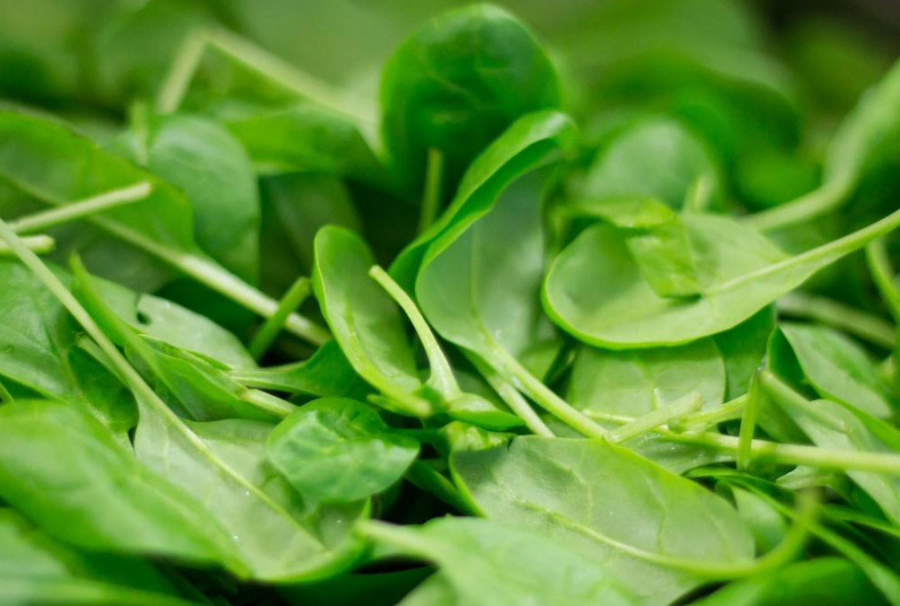 Шпинат калорійність