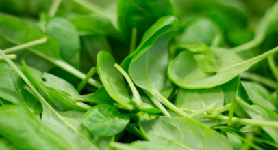 Шпинат калорійність