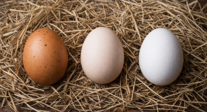 Скільки можна зберігати яйця в холодильнику