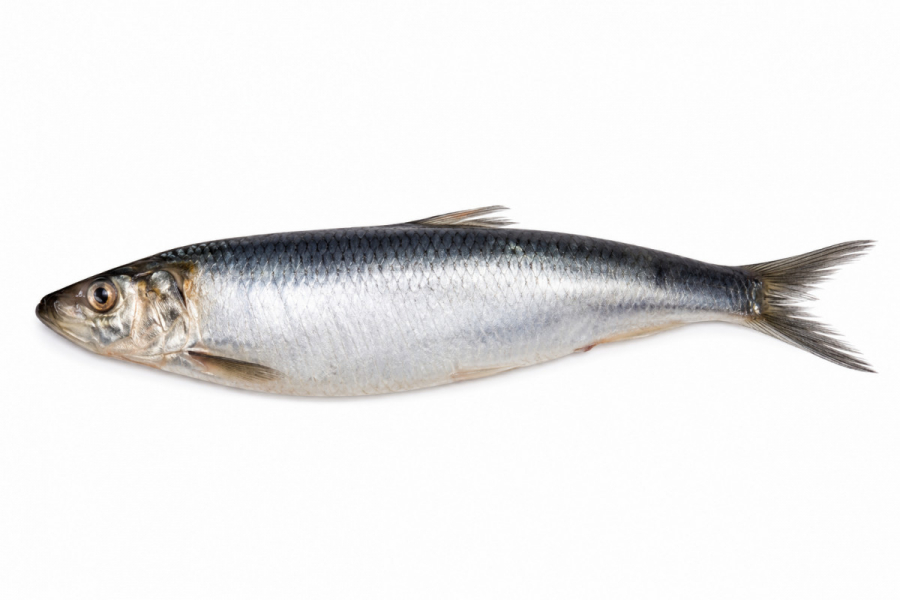 Скумбрія склад продукту