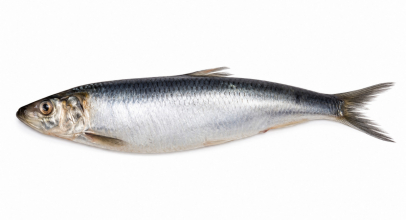 Скумбрія склад продукту