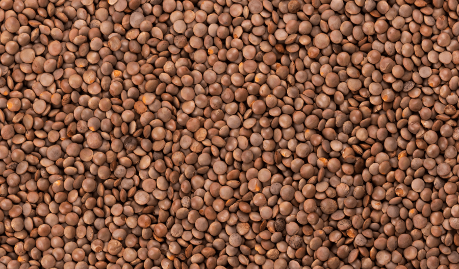 Сочевиця коричнева калорійність