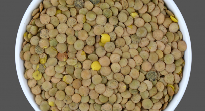 Сочевиця зелена калорійність