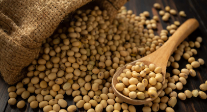 Соя калорійність