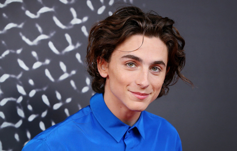 Тімоті Шаламе (Timothée Chalamet)