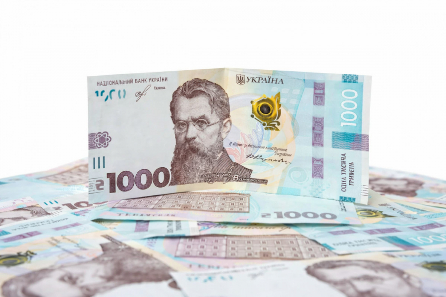 Тисяча від держави: як працює програма «Зимова єПідтримка»