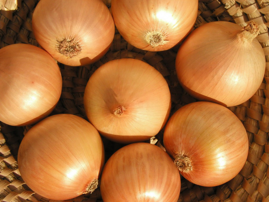 Цибуля ріпчаста калорійність