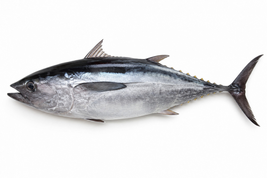 Тунець склад продукту