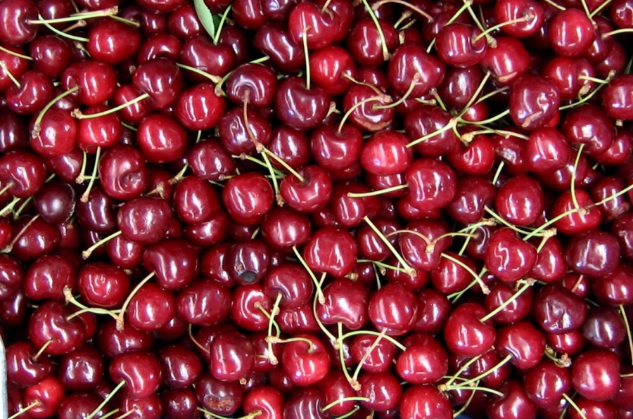 Вишня калорийность