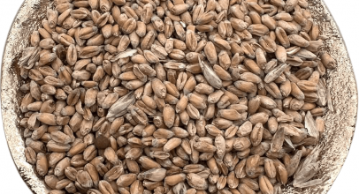 Ячмінні пластівці калорійність