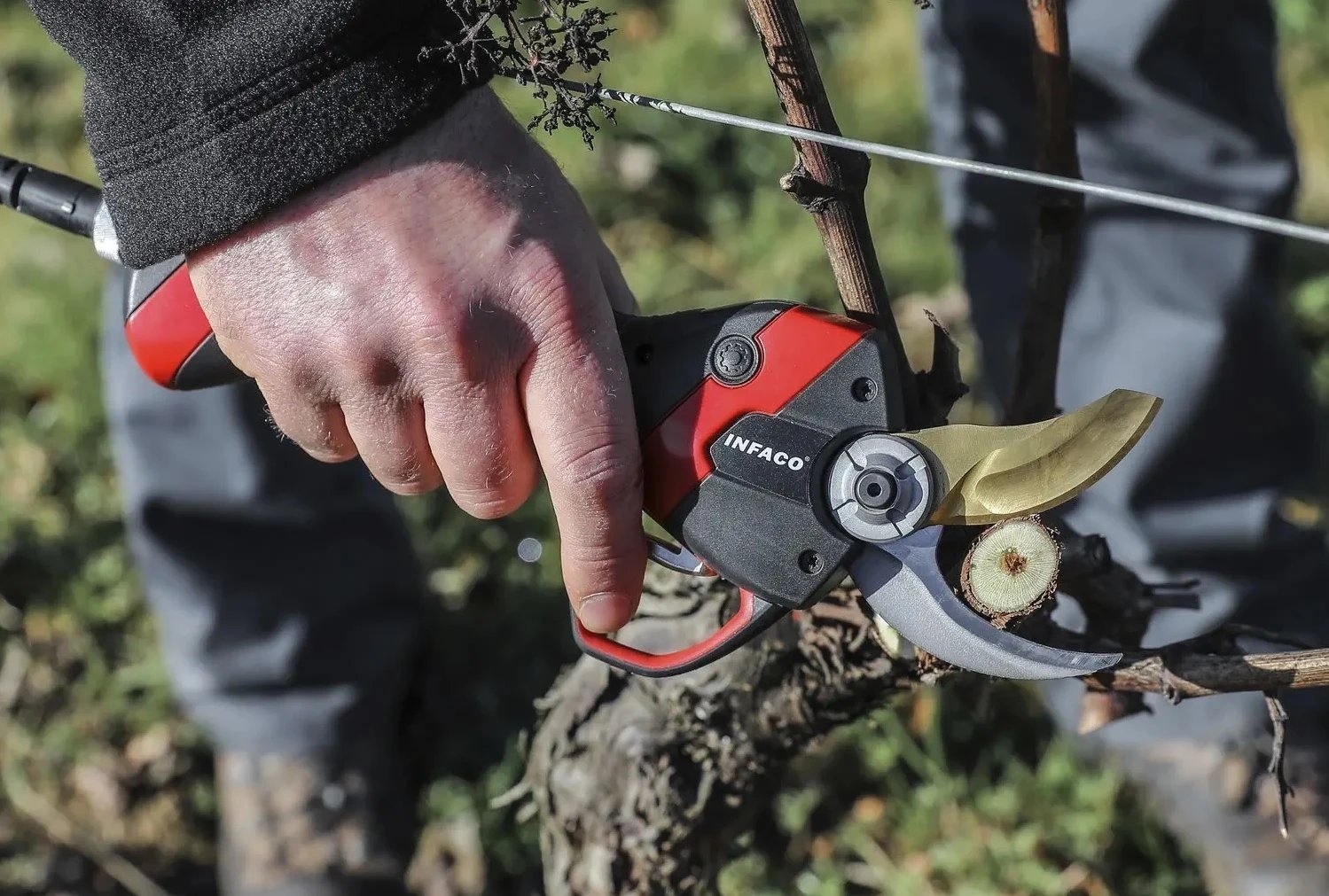 Что такое электросекатор и как он работает