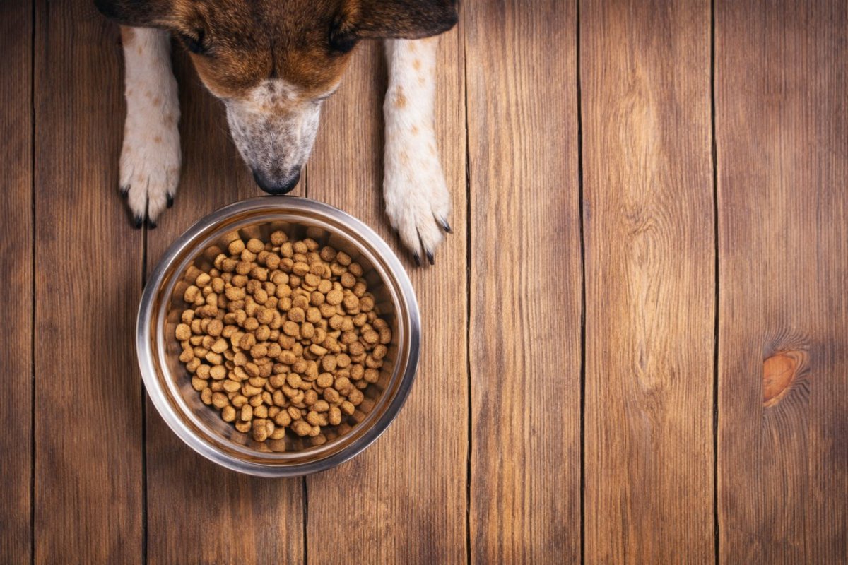 Асортимент BestPet для щоденного годування