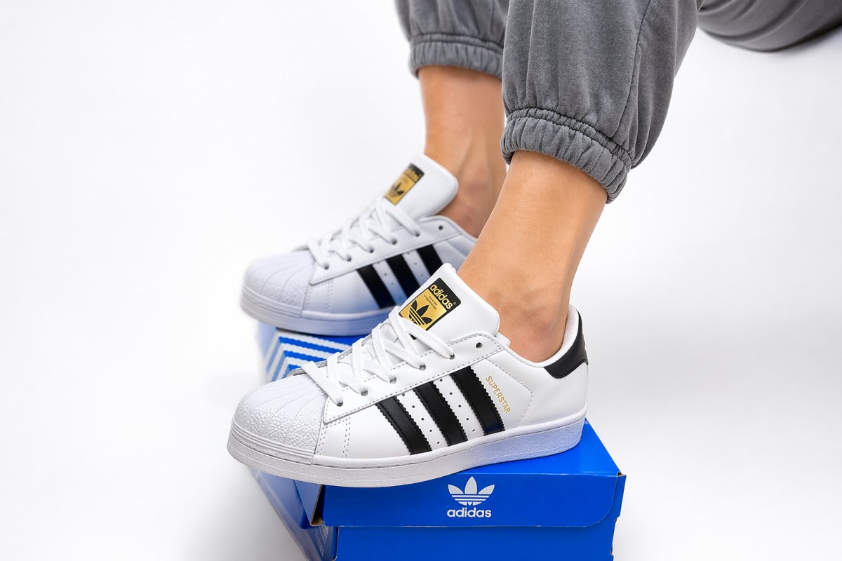 Чим наповнений каталог?