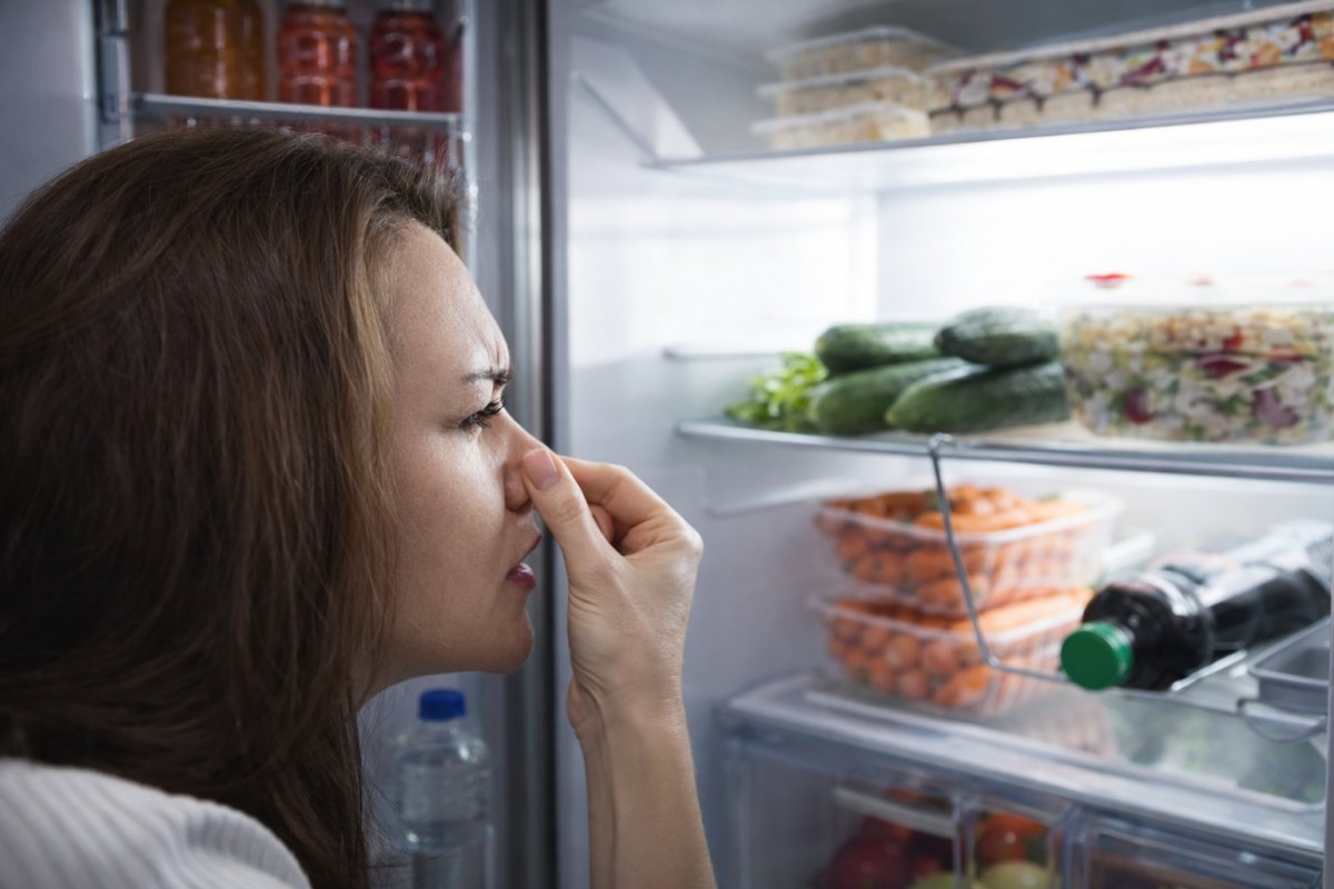 Чому з&rsquo;являється запах у холодильнику