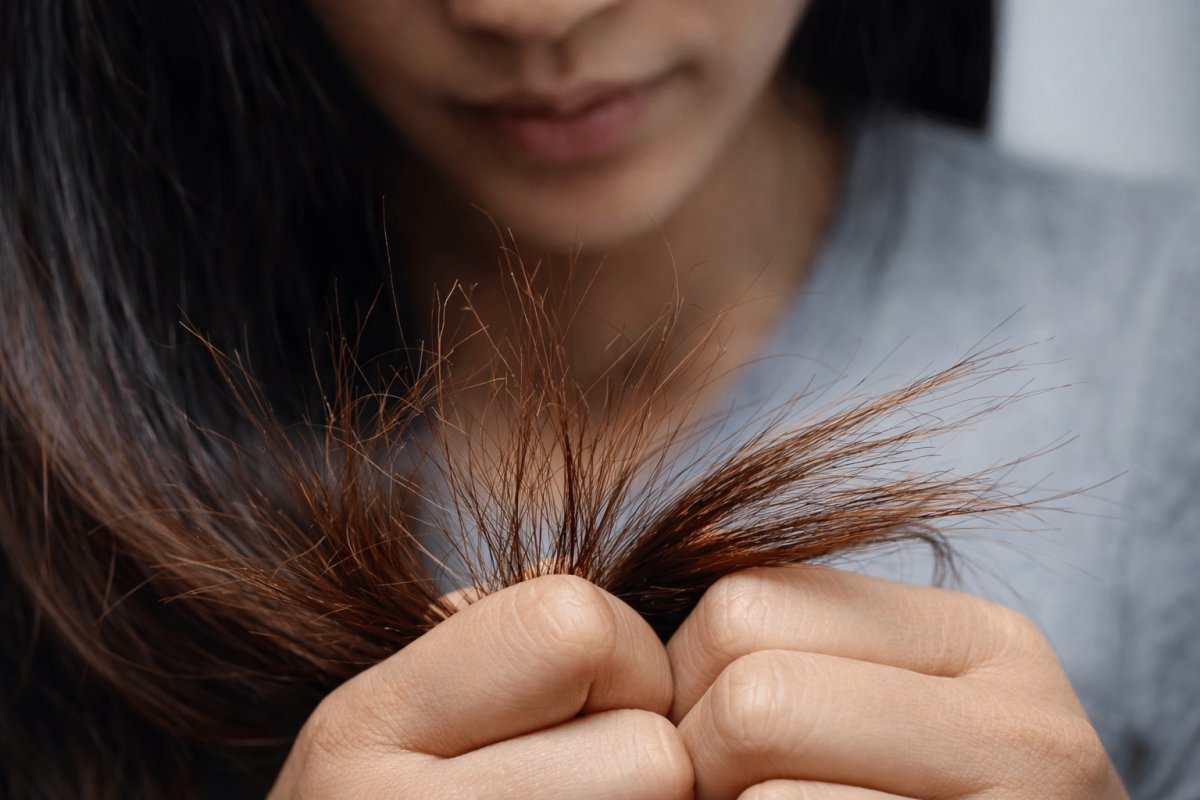 Почему появляются секущиеся кончики