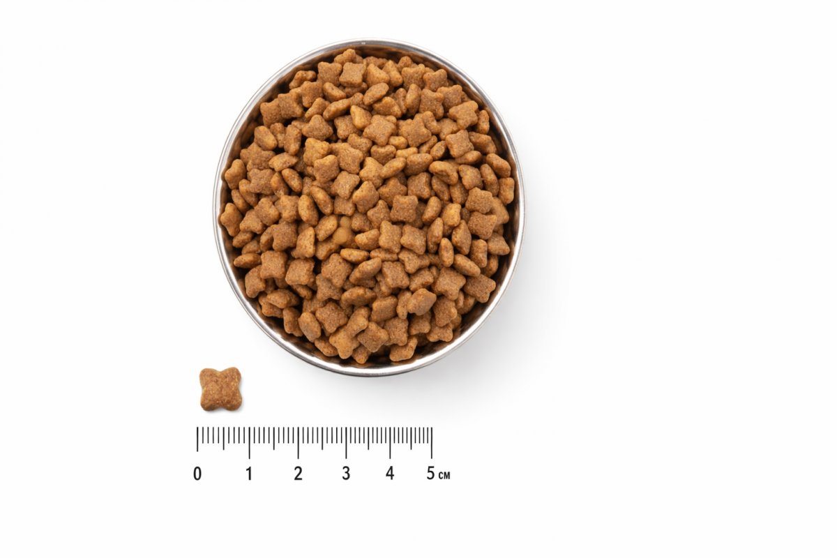 Харчування та водний баланс у зимовий період