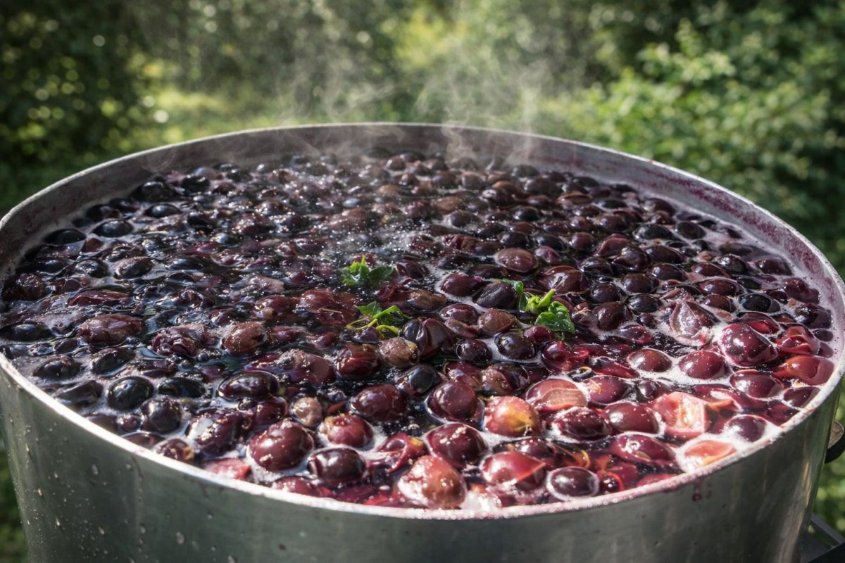 Классический рецепт компота из винограда