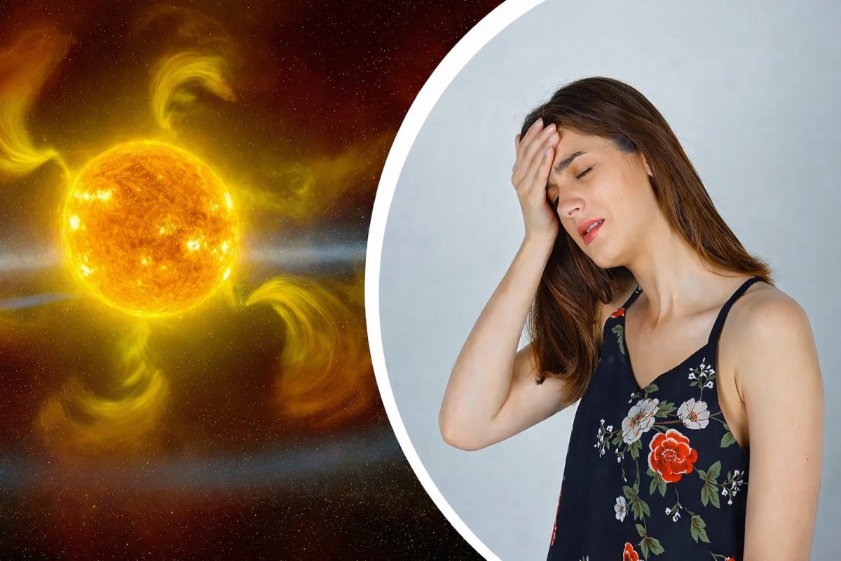 Моніторинг та осмислення