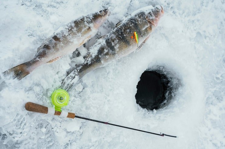 Понимание особенностей зимнего клева