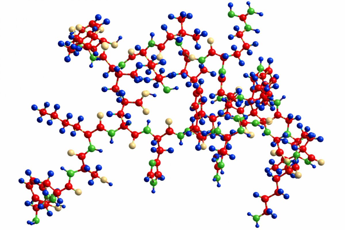 Основні функції білків Основні функції білків