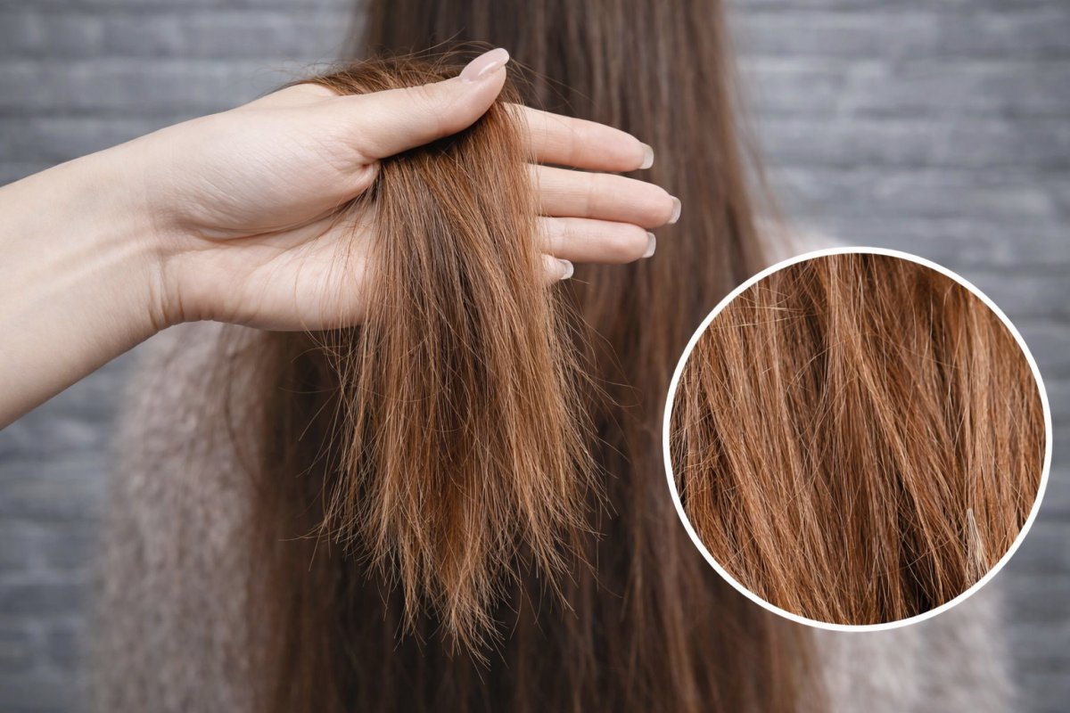 Основные признаки поврежденных волос