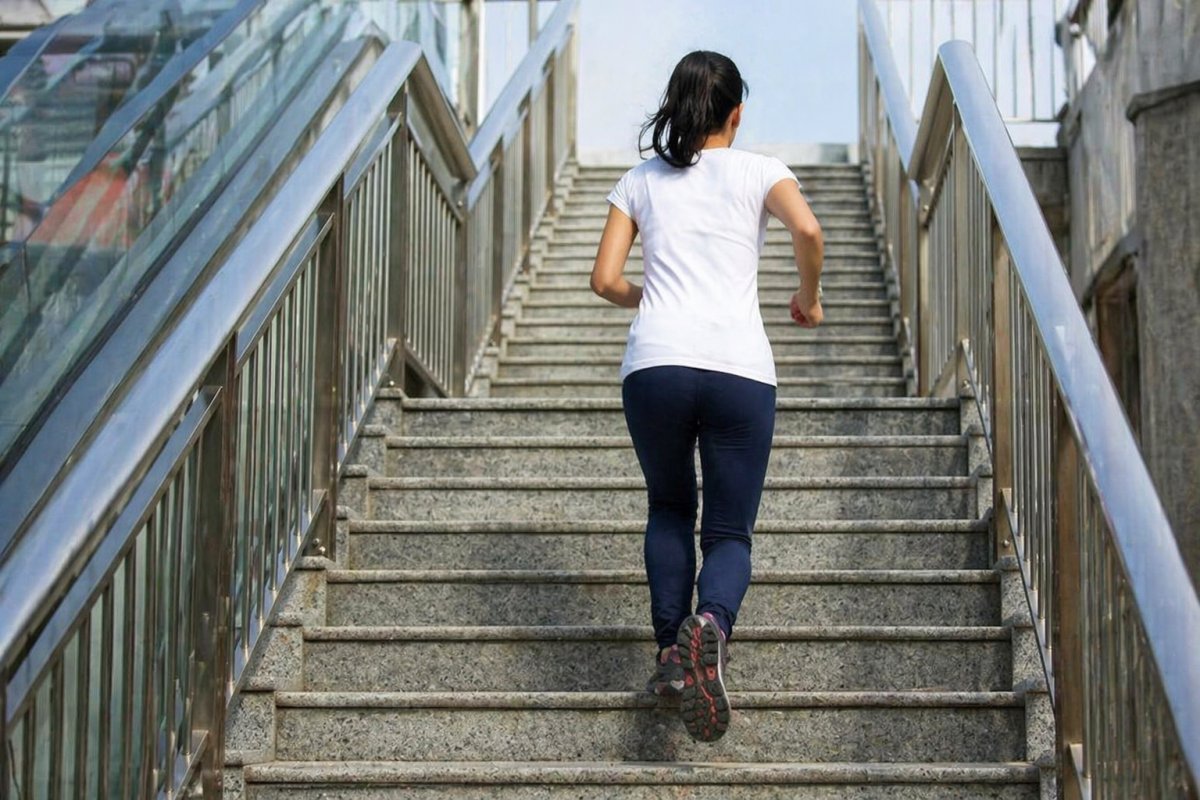 Почему появляется живот