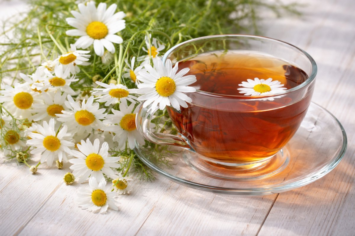 Трав&rsquo;яні напої від нудоти