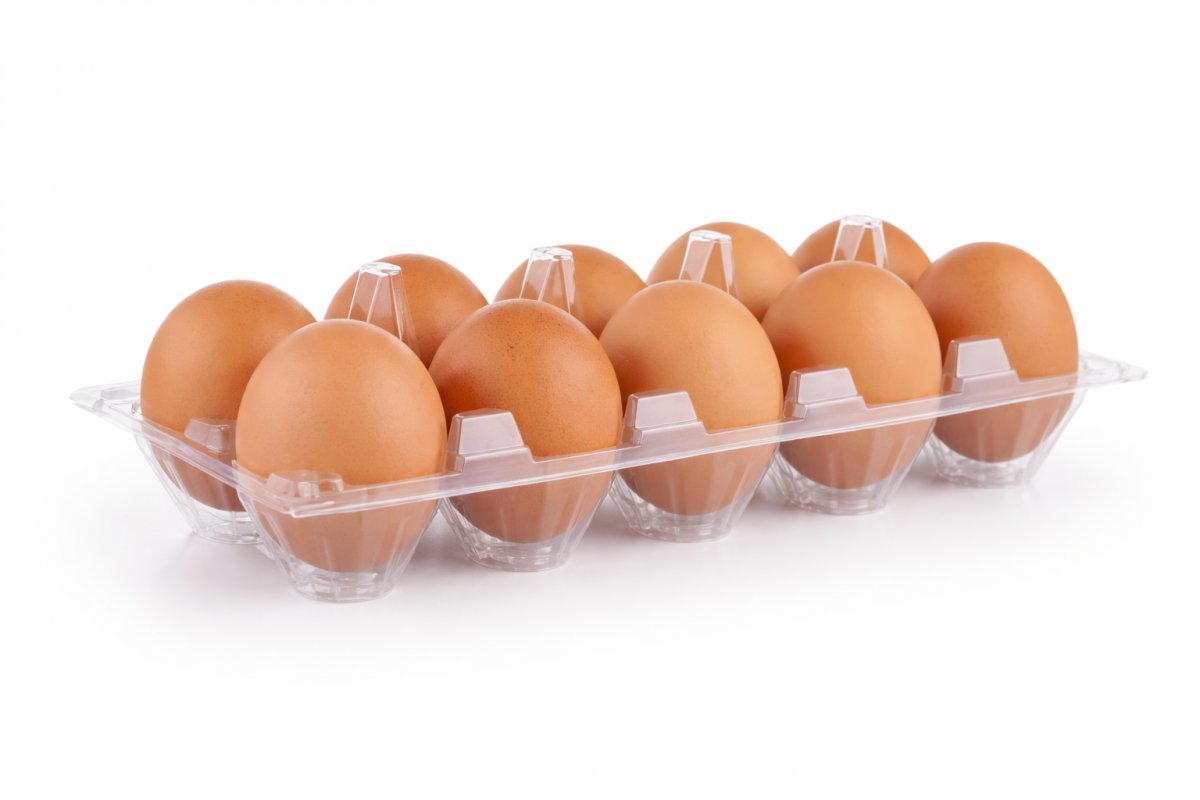 Умови правильного зберігання яєць