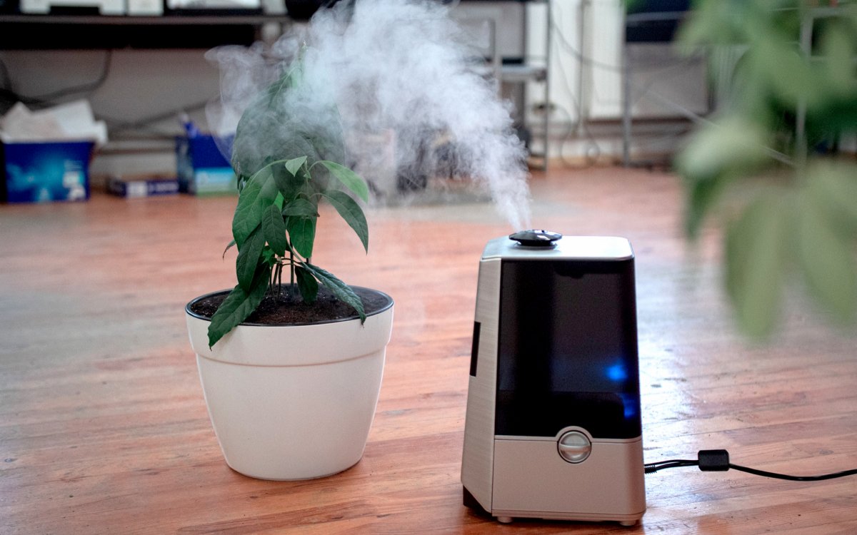 Увлажнитель воздуха в доме и его влияние на комфорт