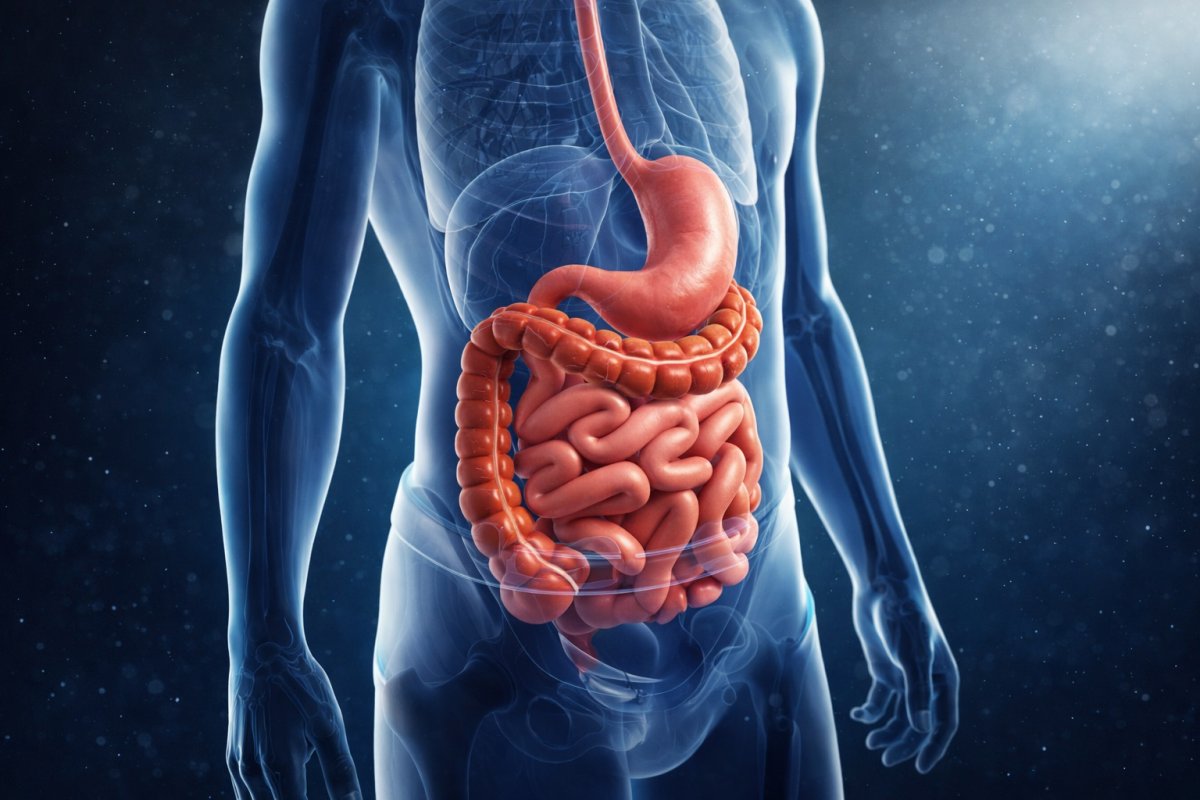 Харчування і стан кишечника