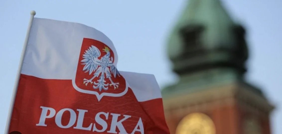 Переваги професійного онлайн-навчання польської мови