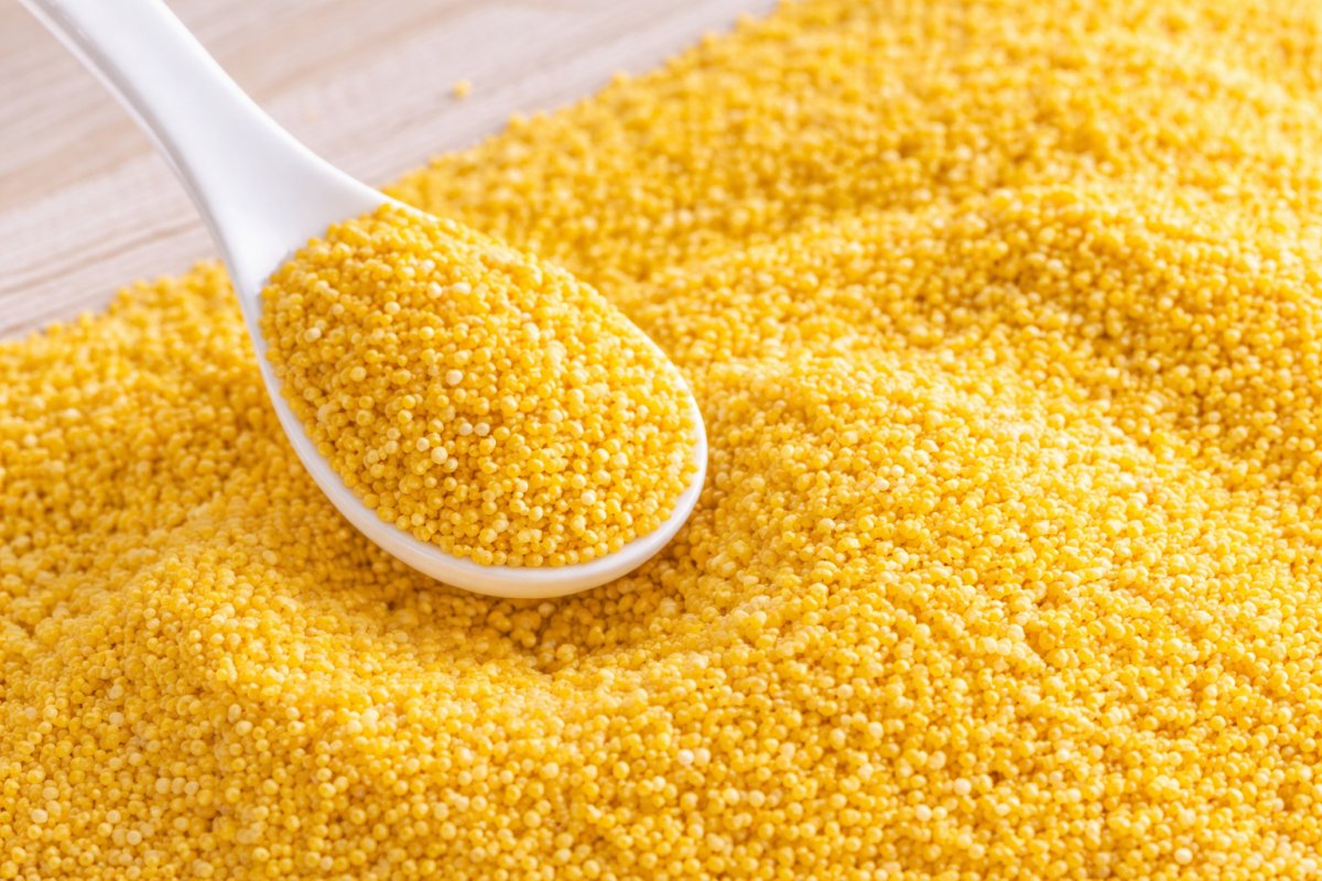 Як вибрати якісне пшоно Як вибрати якісне пшоно