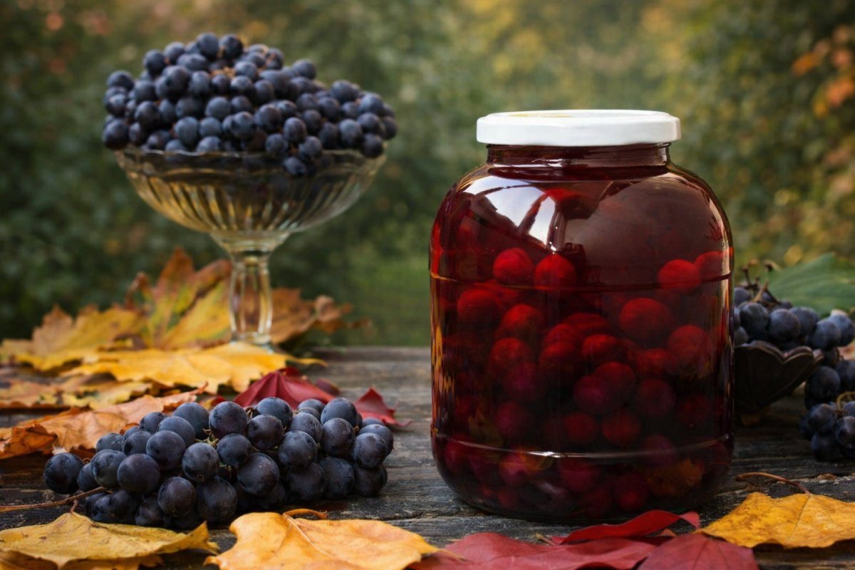 Как хранить компот из винограда
