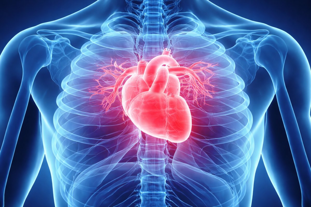 Як зменшити негативний вплив холоду на серце Як зменшити негативний вплив холоду на серце